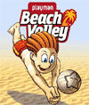Playman Beach Volleyball ( Пляжный волейбол)