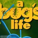 A bugs life - mult
